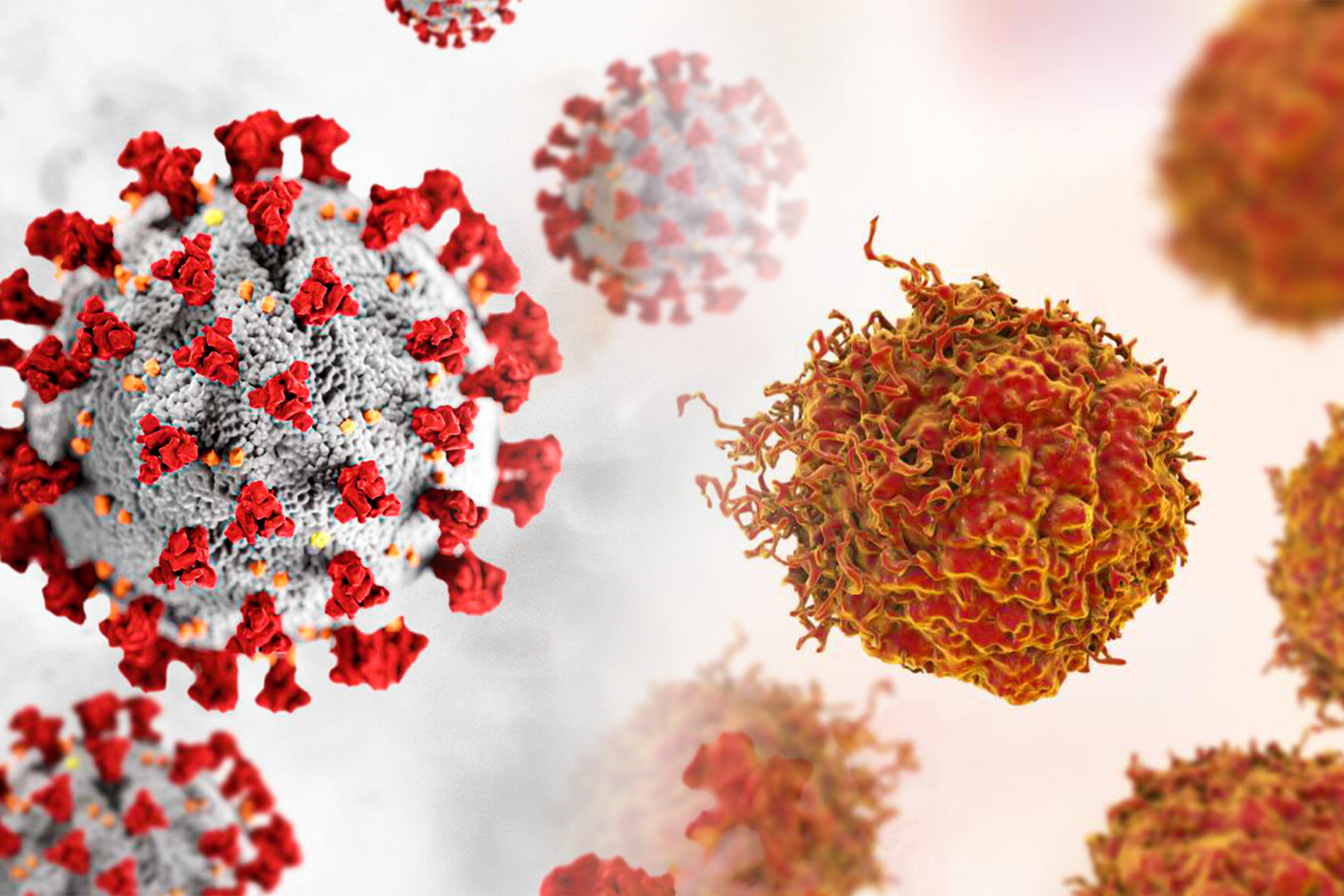 How Has the COVID-19 Pandemic Affected Prostate Cancer Care?